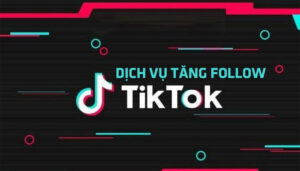 Dịch Vụ Tăng Follow Tik Tok – Mua Follow Tik Tok Giá Rẻ 3