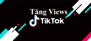 Dịch Vụ Tăng View Tik Tok - Mua View Tik Tok An Toàn Và Chất Lượng 2