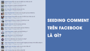 Một Đoạn Seeding Comment Trên Facebook